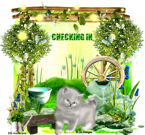 checkincat.png