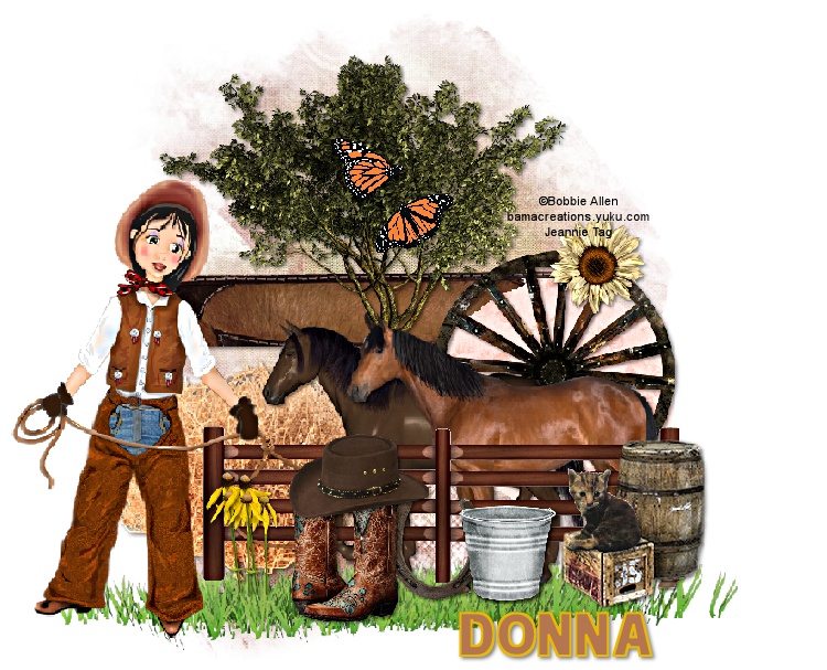 Cowgirl_Donna.png