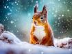 Squirrel_Falling_Snow.jpg