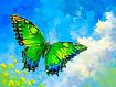 Butterfly_Green_Cloud.jpg