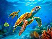 Turtles_Swimming_Underwater.jpg