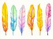 Bohemian_Painted_Feathers.jpg