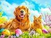 Dog_Cat_Easter_Eggs.jpg