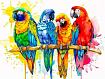 Exotic_Birds_Vivid_Watercolor.jpg