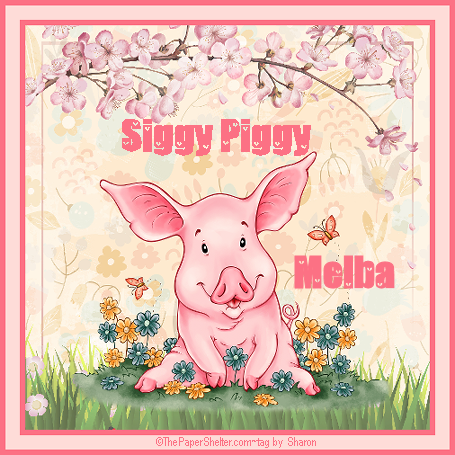 siggy piggy.png