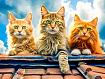 Cat_Trio_on_Roof_green_eyes.jpg