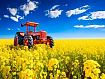 Tractor_in_Canola.jpg