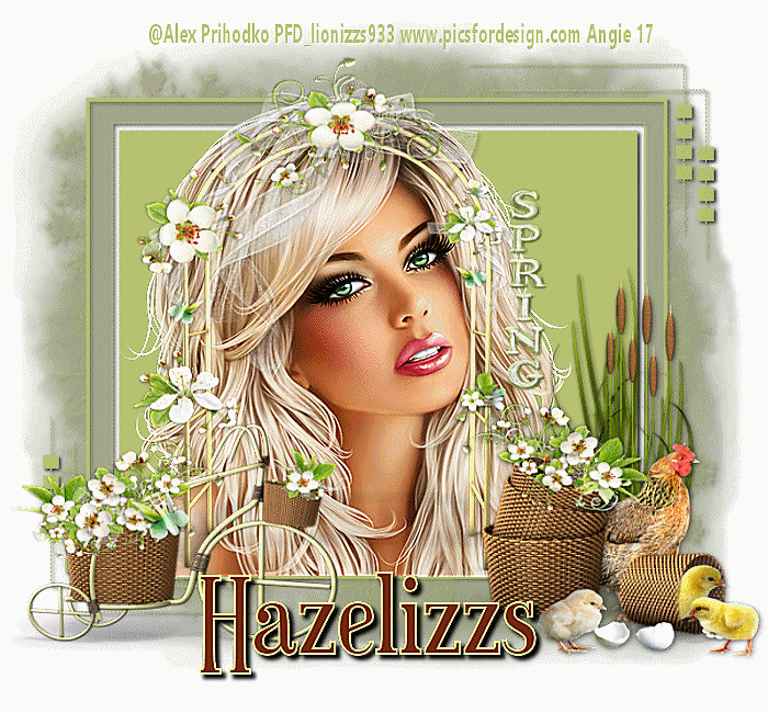 checkinginhhaazzeellizzs.gif