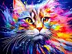 Cat_Art_Color.jpg