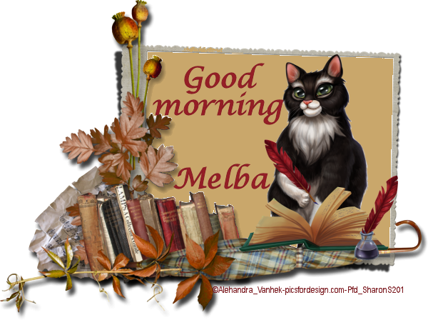 good morning cat, lmelba.png