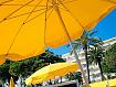 Parasols_and_Palms_0446.jpg