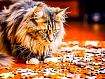 Cat_on_Puzzle.jpg