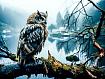 Owl_Silent_Stillness.jpg