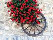 Flowers_Wheel_Wall_3875.jpg