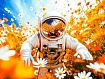 Spaceman_in_Daisies.jpg