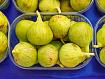 Fig_Box_0525.jpg
