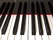 Piano_Keys_0520.jpg