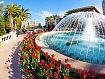 Fountain_Tulip_6834.jpg