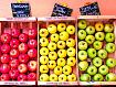 Apple_Box_Triptic_0490.jpg