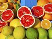 Citrus_Fruit_7834.jpg