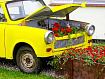 Trabant_Flowerpot_0963.jpg