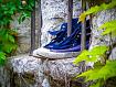 Shoes_on_Window_5498.jpg