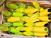 Citrus_Squeezer_Basket_0X5A4326 (1).jpg