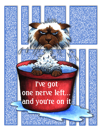 image.gif