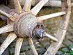 Wagon_Wheel_4437.jpg