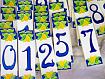 Ceramic_Numbers_Citrus_1839.jpg