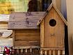 Bird_House_Wood_8201.jpg