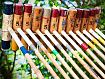 Polo_Mallets_8803.jpg
