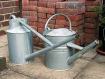 Watering_cans.jpg