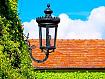 Ivy_Lamp_Roof_2810.jpg