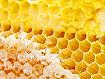 Honeycomb_3687.jpg