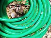 Green_Hose_8520.jpg