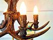 Antler_Light_0559.jpg