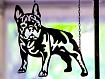 Bulldog_Cut_Sign_0X5A1863.jpg