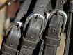 Harness_Buckle_Three_0522.jpg