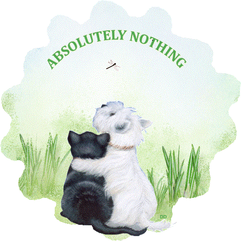 image.gif