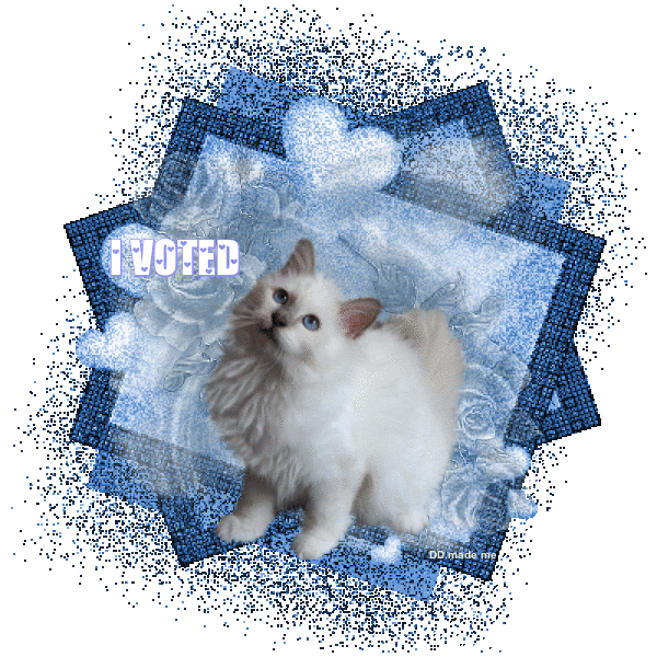 image.gif