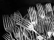 Box_of_Forks.jpg