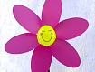 Pink_Windmill_8067.jpg