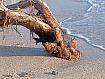 Drift_Wood_Beach_4911.jpg