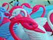 Plastic_swans.jpg