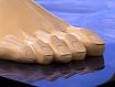 Five_Toes_5148.jpg
