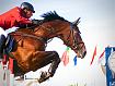 Horse_Jump_8771.jpg
