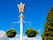 Streetlight_Baskets_2420.jpg