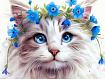 Cat_Forget_Not.jpg