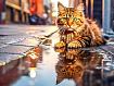 Cat_Cobble_Puddle.jpg